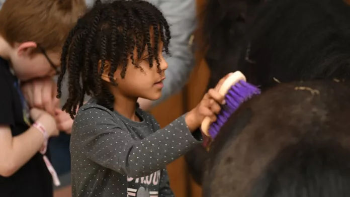 Pérenniser l’équitation scolaire à travers Poney école
