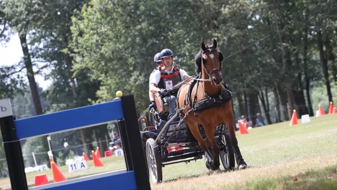 Cavalier depuis ses dix ans, François Galland a évolué pendant près d’une trentaine d’années en compétition Amateur de saut d’obstacles. Paraplégique depuis un accident début 2021, il pratique désormais le para-attelage, discipline en développement dont le premier règlement a été publié par la FFE en 2022. Entretien avec un meneur motivé, sacré champion de France parmi les valides cet été au Generali Open de France et qui a à cœur de développer le para-attelage.