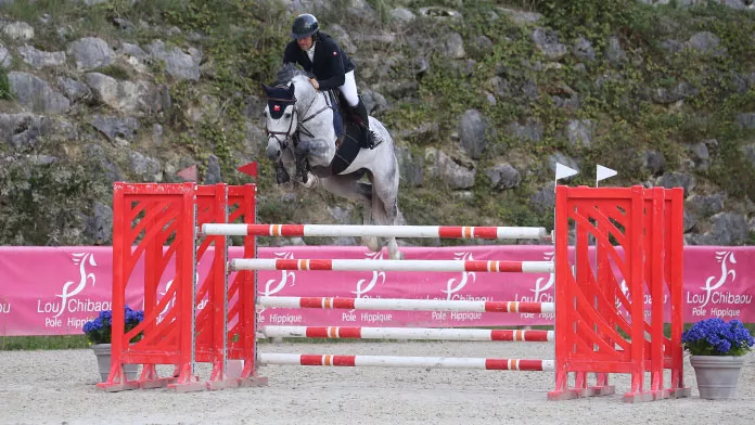 Nicolas Deseuzes et Garou des Forets