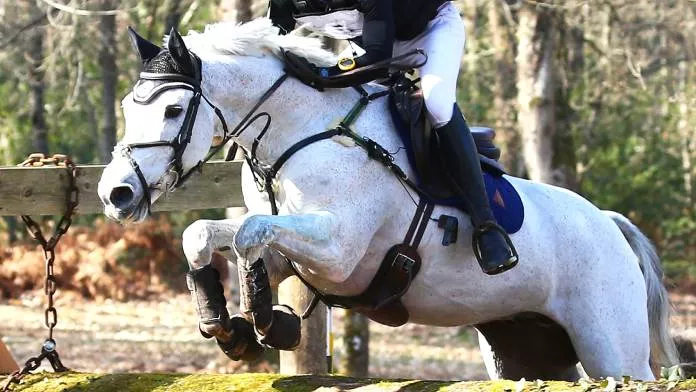 Grand National CCE