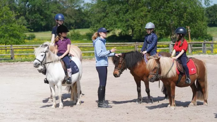 Métier FFE enseignant d'équitation