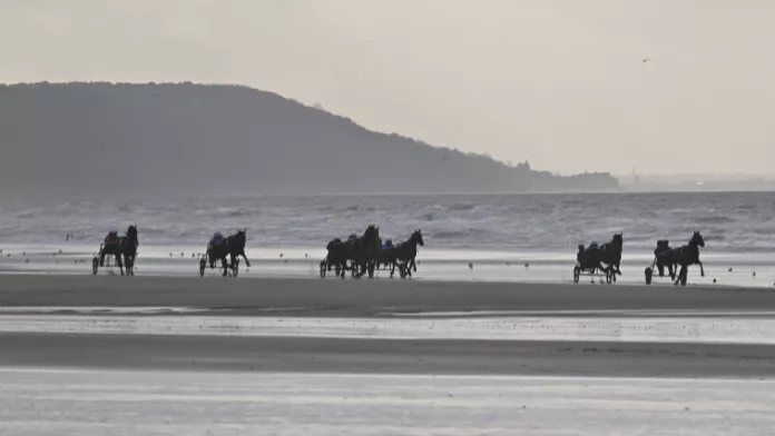 une course de trot attelé sur la plage séminaire DTN Deauville 2023