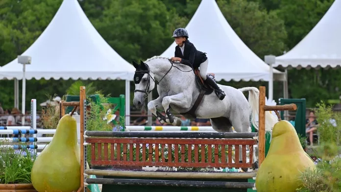Retour sur l’étape du National Hunter FFE - Horse Master au Mans