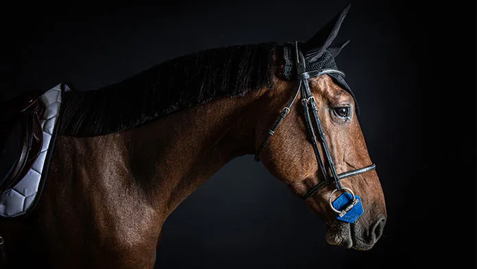 Ecurie I-Bride