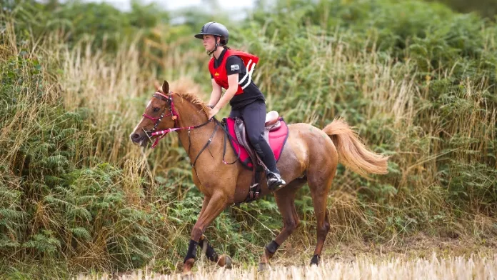 Championnats de France des As