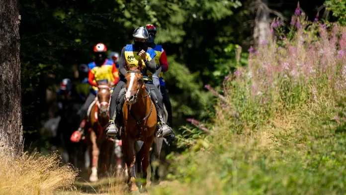 C’est en France, terre d’élevage et nation forte de l’endurance mondiale, et à Jullianges (43) plus précisément, que se sont tenus les championnats du monde des jeunes chevaux de 8 ans. A domicile, l’équipe de France a terminé avec la médaille de bronze, tandis que Léa Vandekerckhove a mené Alsafa du Lauragais au quatrième rang.