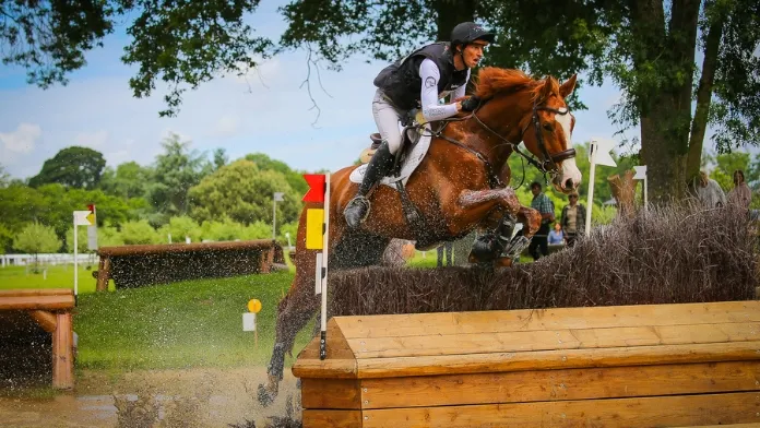 Caramel d’Orchis, sélectionné avec Gireg Le Coz pour les championnats d’Europe de concours complet qui débutent le 17 septembre à Blenheim, vit depuis avril 2024 en écurie dynamique.