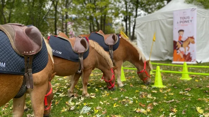 Fête du Sport : La FFE invite petits et grands au Jardin des Tuileries pour découvrir les joies de l’équitation !
