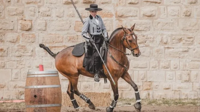 equitation de travail