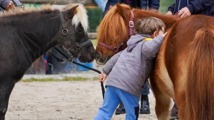 Atelier octobre rose Parc calin poneys