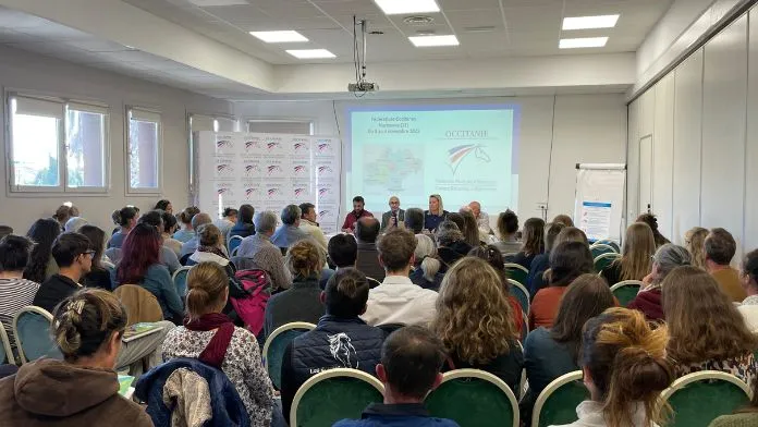 Une édition 2025 réussie pour les Fédératives Occitanes 2025, unanimement saluées