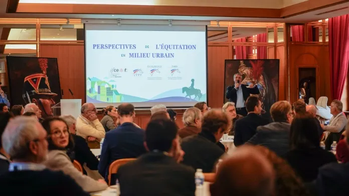 Réunion Perspectives de l'équitation en milieu urbain