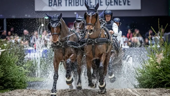 Benjamin Aillaud et son team de 4 chevaux sur le podium de l'étape Coupe du monde FEI à Genève