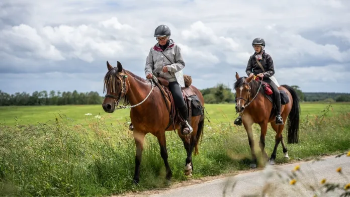 Séminaire Itinérance 2025 : un temps d’échange riche pour accompagner les acteurs du tourisme équestre en région