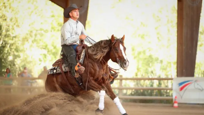Entretien avec François Guyot, président de la commission FFE pour l’équitation western
