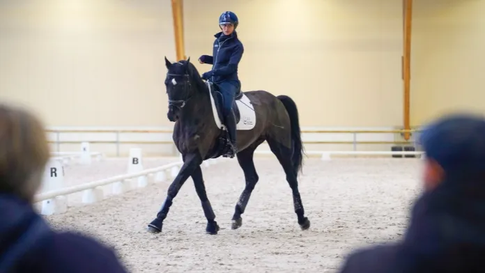 Masterclass para-dressage Chiara Zenat et Zeus de Malleret grand manège crédit FFE-CB