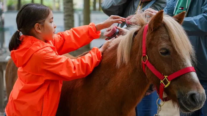Fête du sport 2025 Paris jardin des Tuileries
