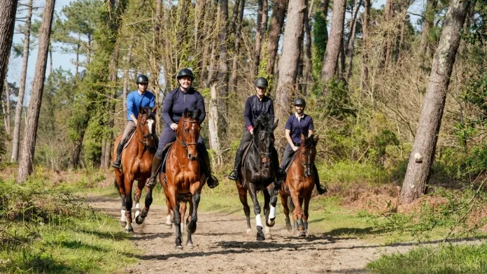 promenande forêt cavaliers adulte crédit Montaine Mérelle