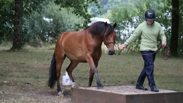 Le mountain trail se développe à l’international