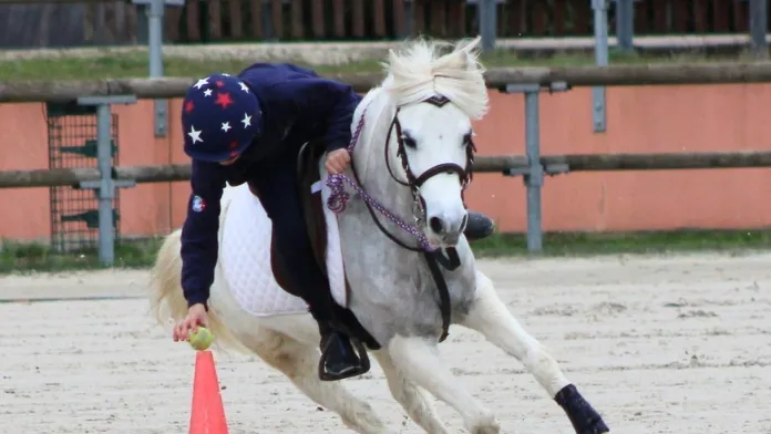 stage pony-games équipe de France crédit Collection privée
