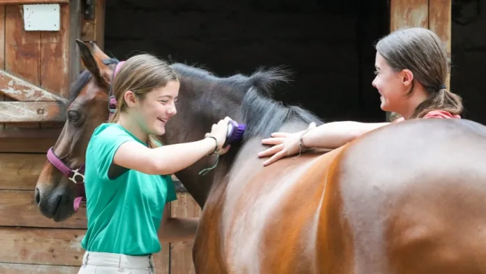 Pansage au poney-club crédit FFE/N.Hodys