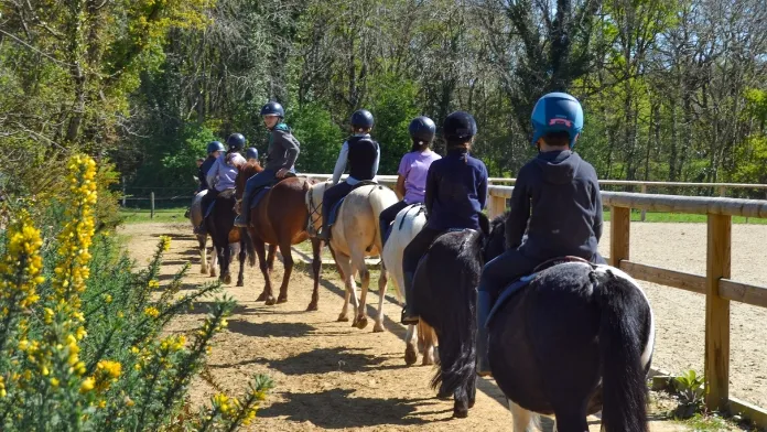 Journée du Cheval 2025 au haras de la Vaillantière