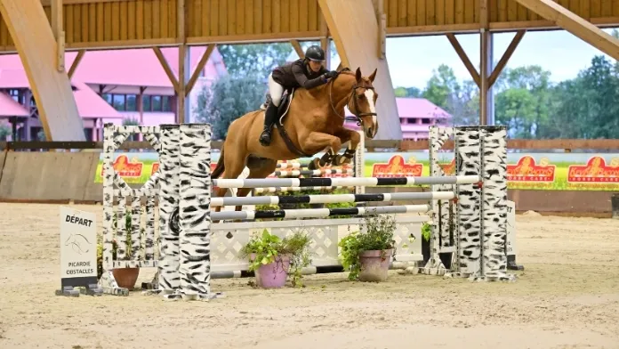 National Hunter Lamotte Beuvron Les Garennes