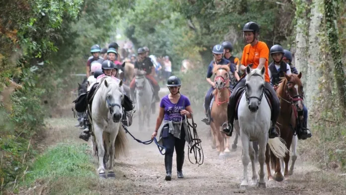 Véritable tradition, la Randonnée Régionale Poney des Pays de la Loire a fait étape à Couëron (44)