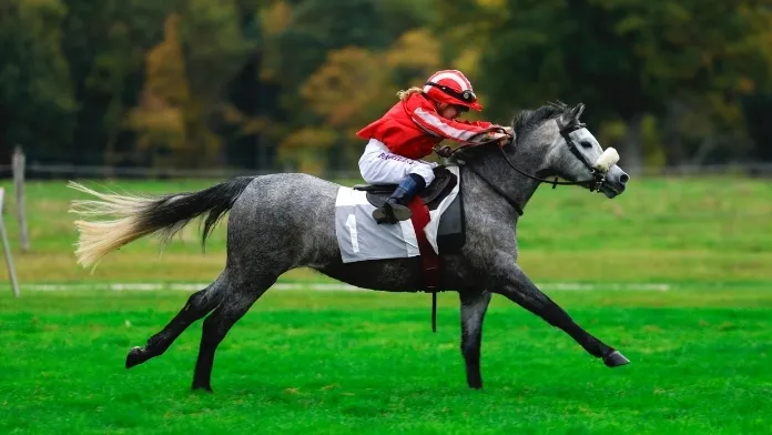 Championnat de France galop à poney Open Plat indice 2 crédit Margaux Viaud Fitzpatrick