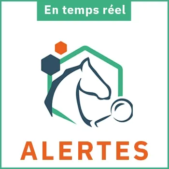 Alertes REPSE en temps réel
