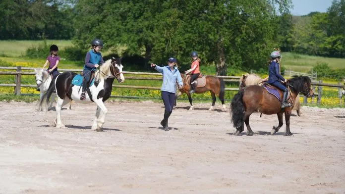 Enseignant d'equitation