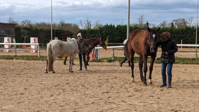 Le haras de Lorane et la Ligue contre le cancer 31, une collaboration qui fonctionne