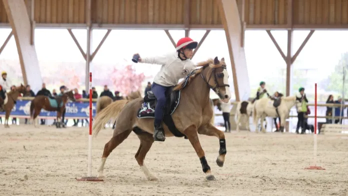 rencontres du pony-games 2025 public crédit ffe-psv