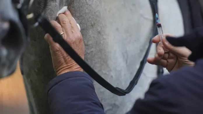 Les vétérinaires fédéraux réunis au Parc équestre fédéral