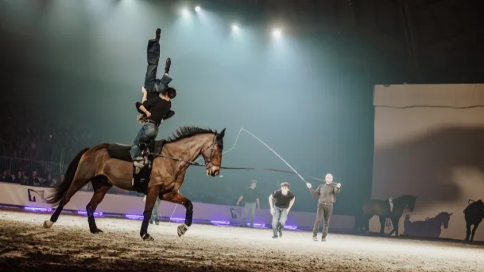 Equipe de France voltige Crinières d'Or crédit FFE Lola Bonnard