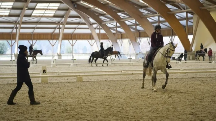 Stage Amateur équipe dressage crédit FFE-CB