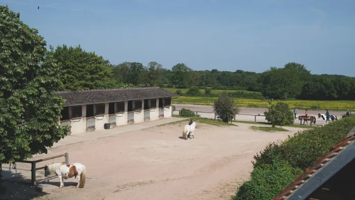 L’équitation, secteur économique pour les collectivités locales