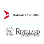 BALSAN ENCHERES - HARAS DE RIVERLAND