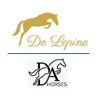 ELEVAGE DE LEPINE - D-A HORSES