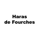 HARAS DE FOURCHES