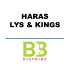 HARAS LYS & KINGS - BB DISTRIBE
