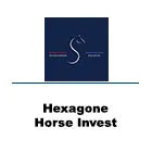 STALLEN FRANCE - HEXAGONE HORSE INVEST