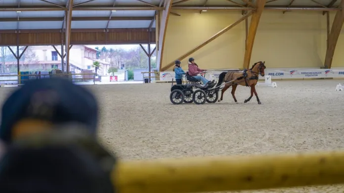 Attelage Jeunes parc équestre fédéral crédit FFE-CB