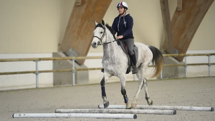 Cavalier endurance Parc équestre fédéral FFE-CB