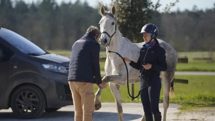 Check-up vétérinaire endurance Parc équestre fédéral FFE-CB