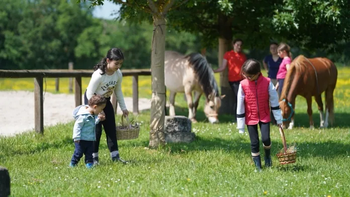 Cheval de Pâques crédit FFE-PSV-N.Hodys