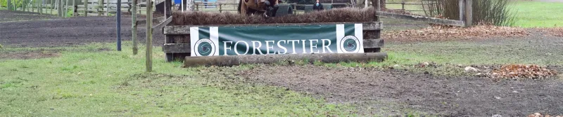 Cavalier à l'obstacle CCE Forestier