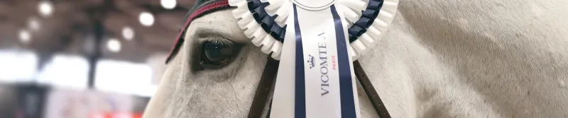 Flot Amateur Gold Tour FFE - Vicomte A. sur le cheval vainqueur