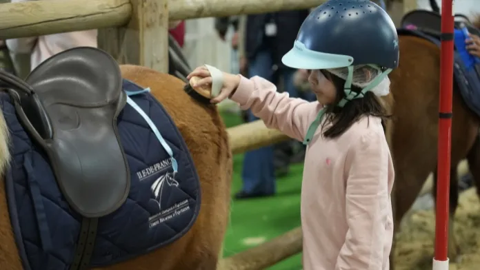 Pansage poney fillette crédit FFE