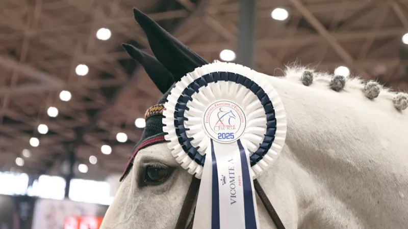 Flot Amateur Gold Tour FFE - Vicomte A. sur le cheval vainqueur